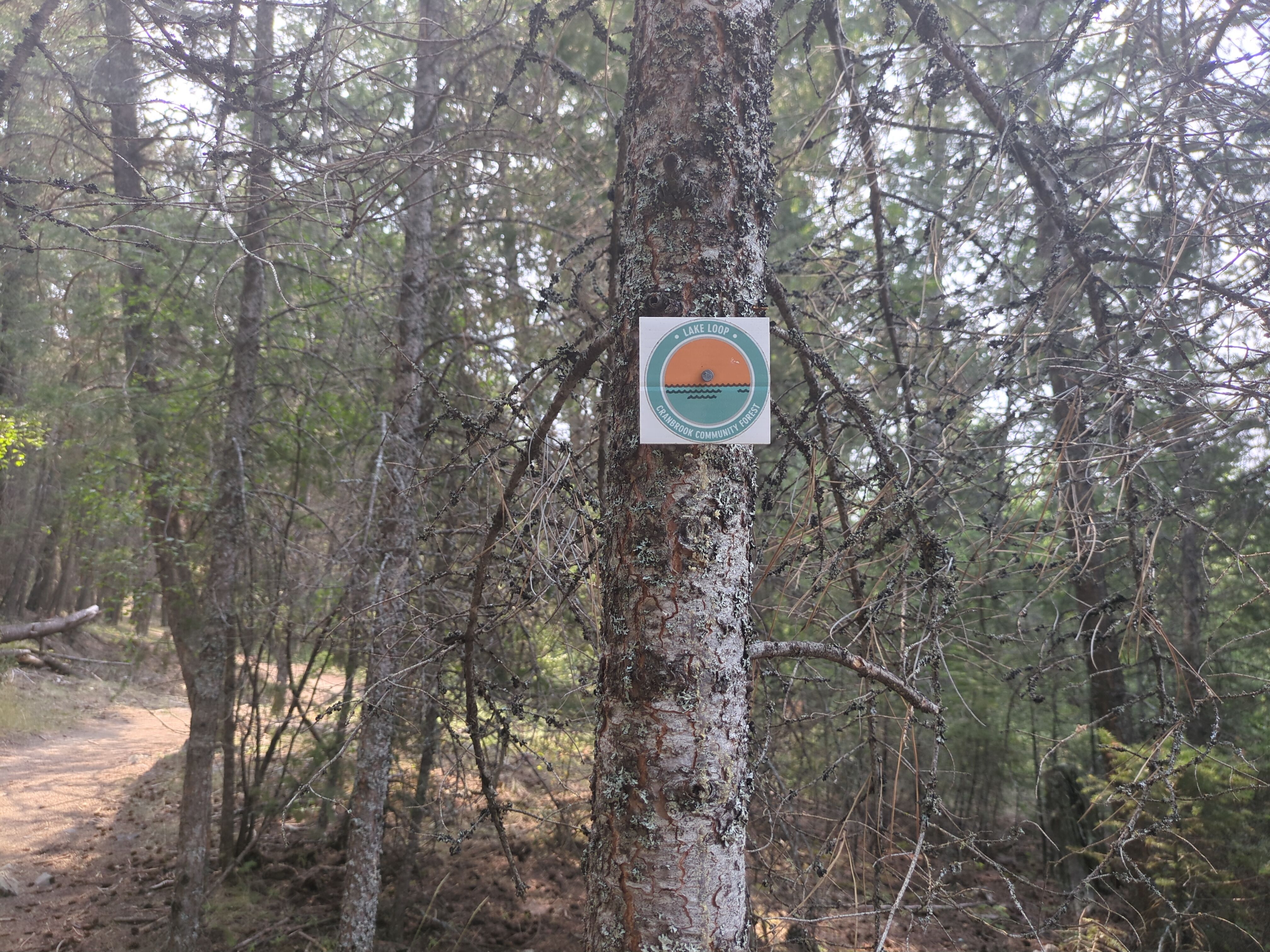 A hiking trail around Cranbrook.